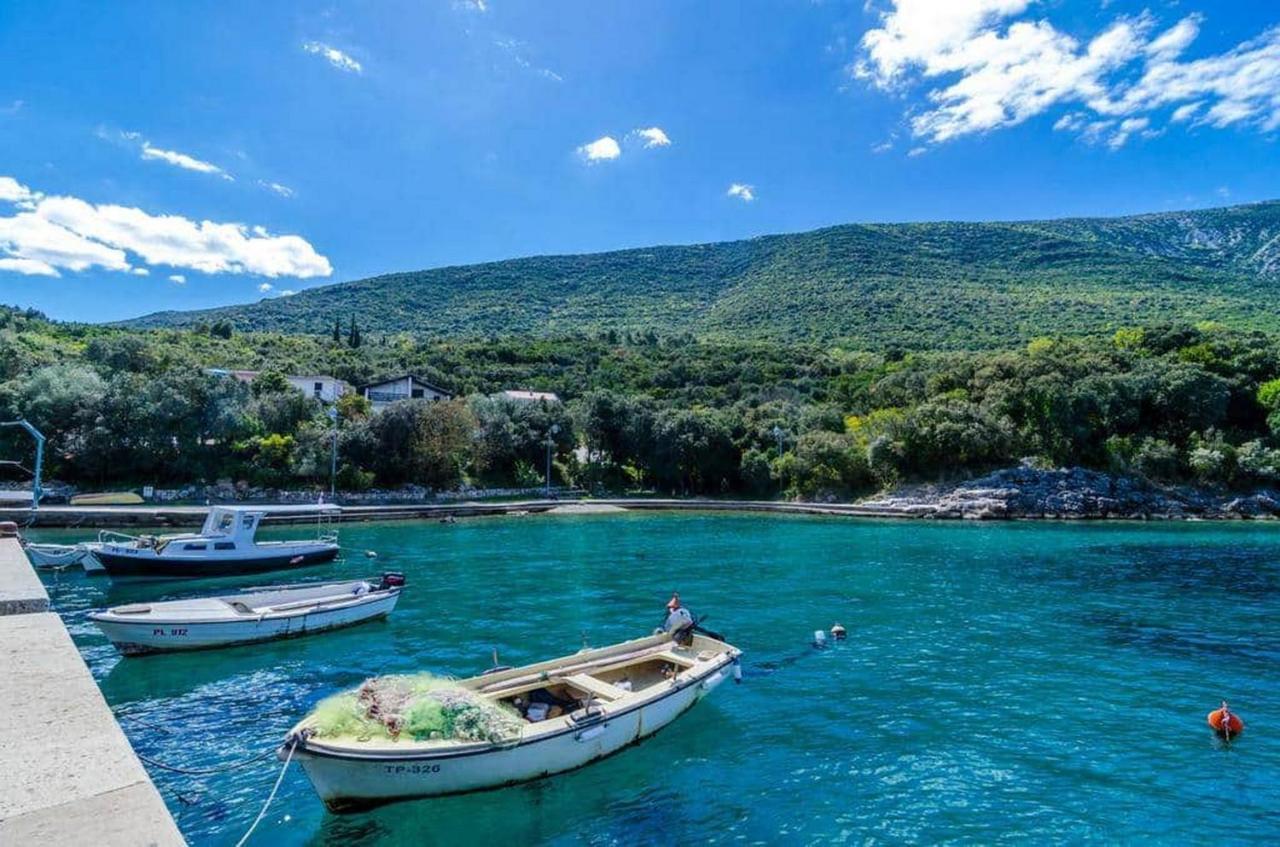 Apartments Vesela Janjina Dış mekan fotoğraf